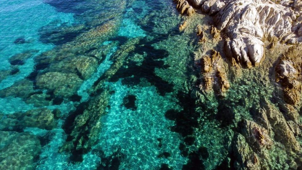 Ανησυχητική καθυστέρηση για τα δύο θαλάσσια πάρκα